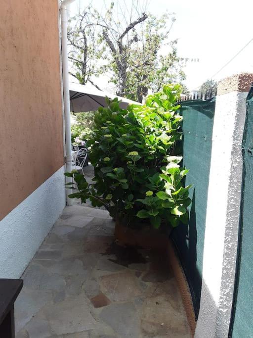 Petit Coin De Paradis Évisa Kültér fotó