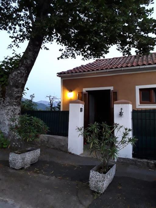 Petit Coin De Paradis Évisa Kültér fotó